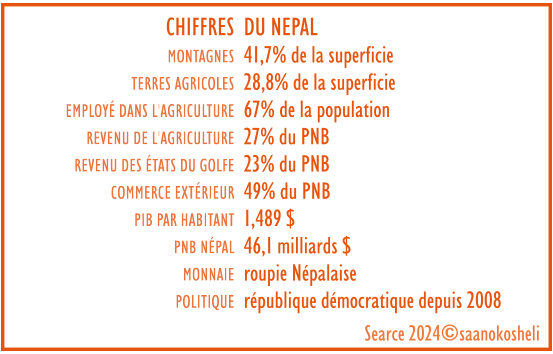 Népal chiffres